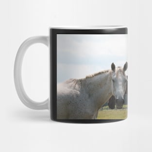 Horses Nuzzling Mug